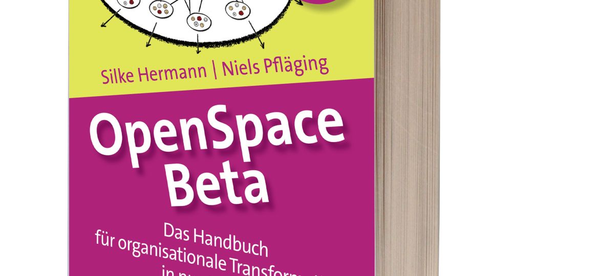 Handbuch Openspace-Beta