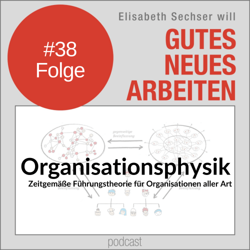 38-Organisationsphysik-500