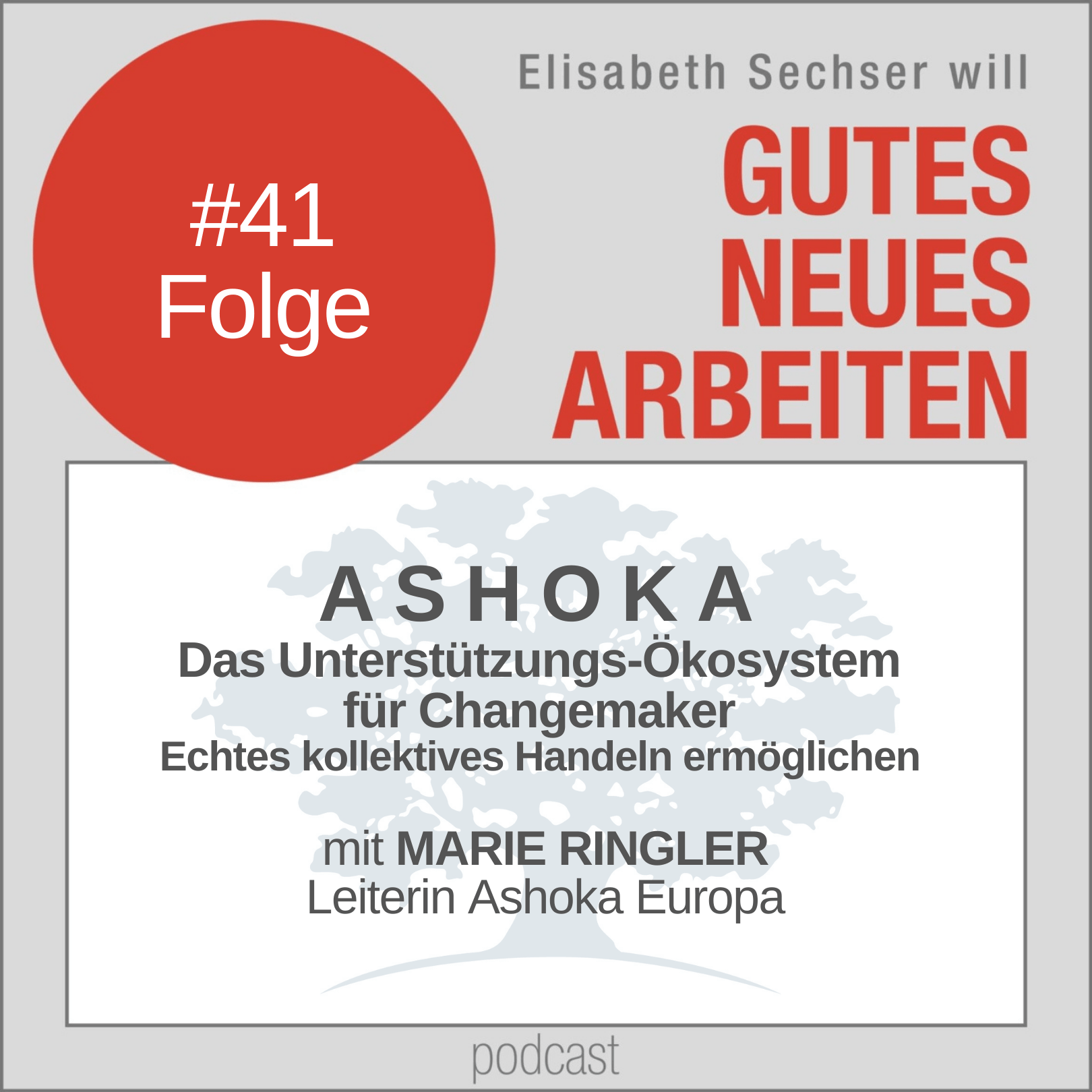 41-ashoka-das-unterstuetzungs-oekosystem-fuer-changemaker