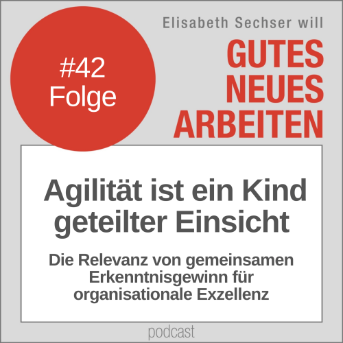 42-agilitaet-ein-kind-geteilter-einsicht