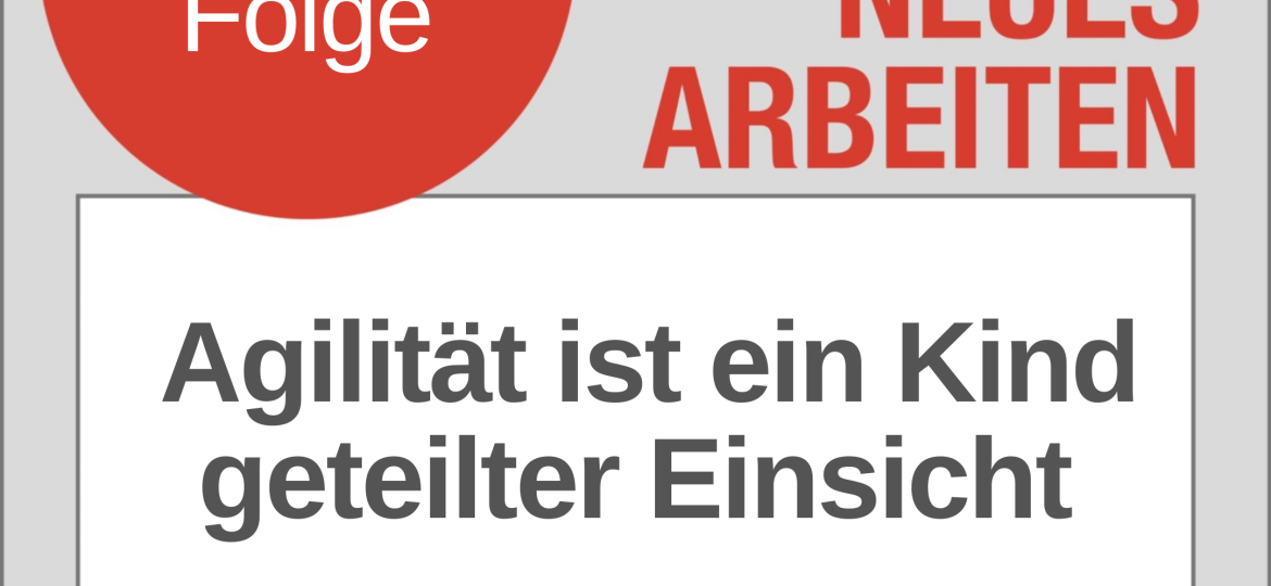 42-Agilitaet-ist-ein-Kind-geteilter-Einsicht-disqourse