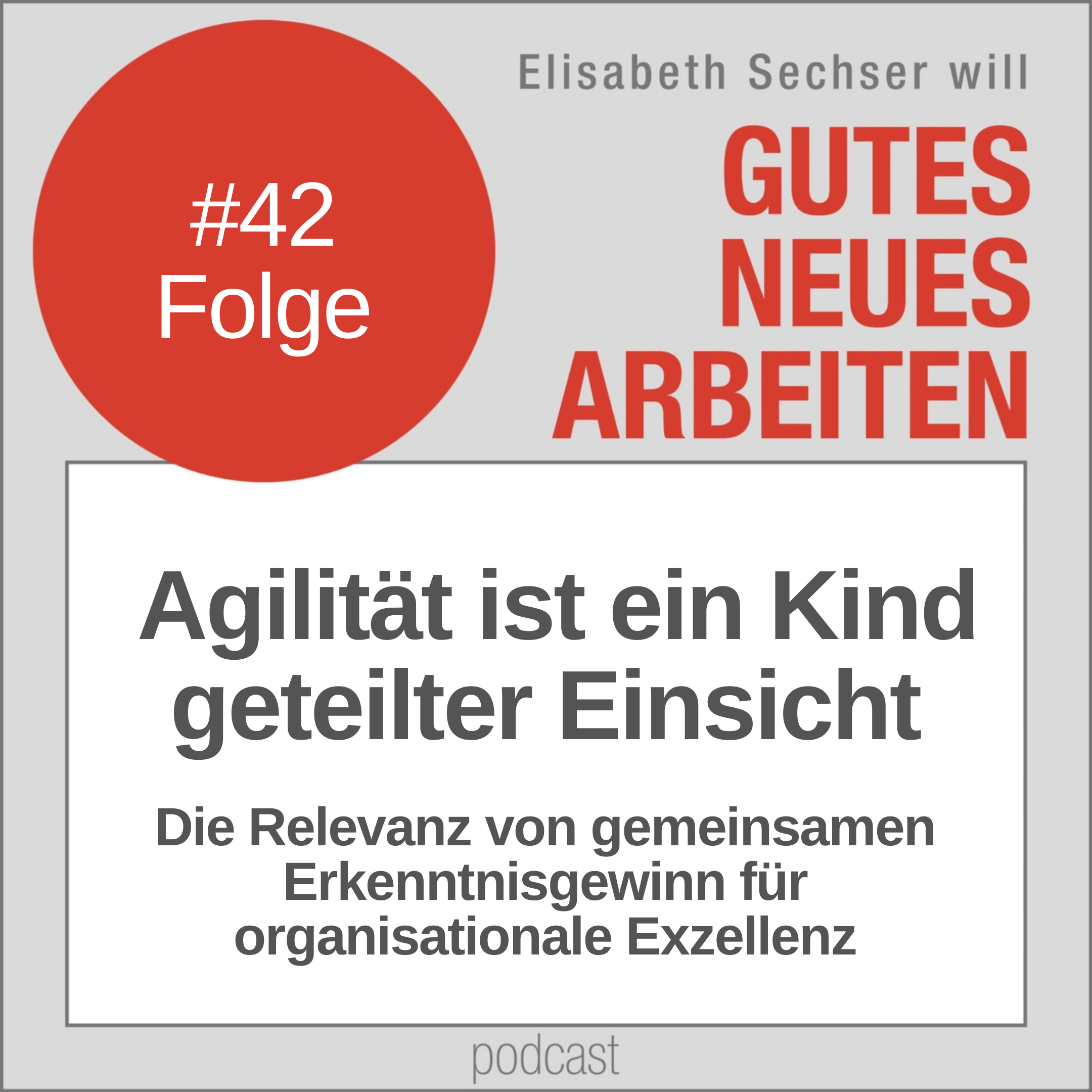 42-agilitaet-ein-kind-geteilter-einsicht