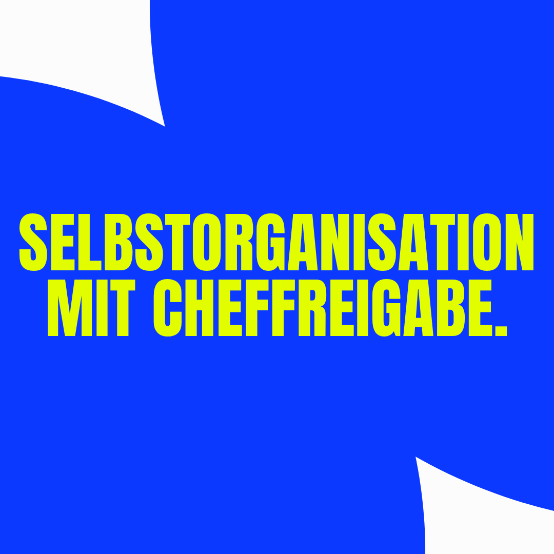 selbstorganisation-mit-cheffreigabe