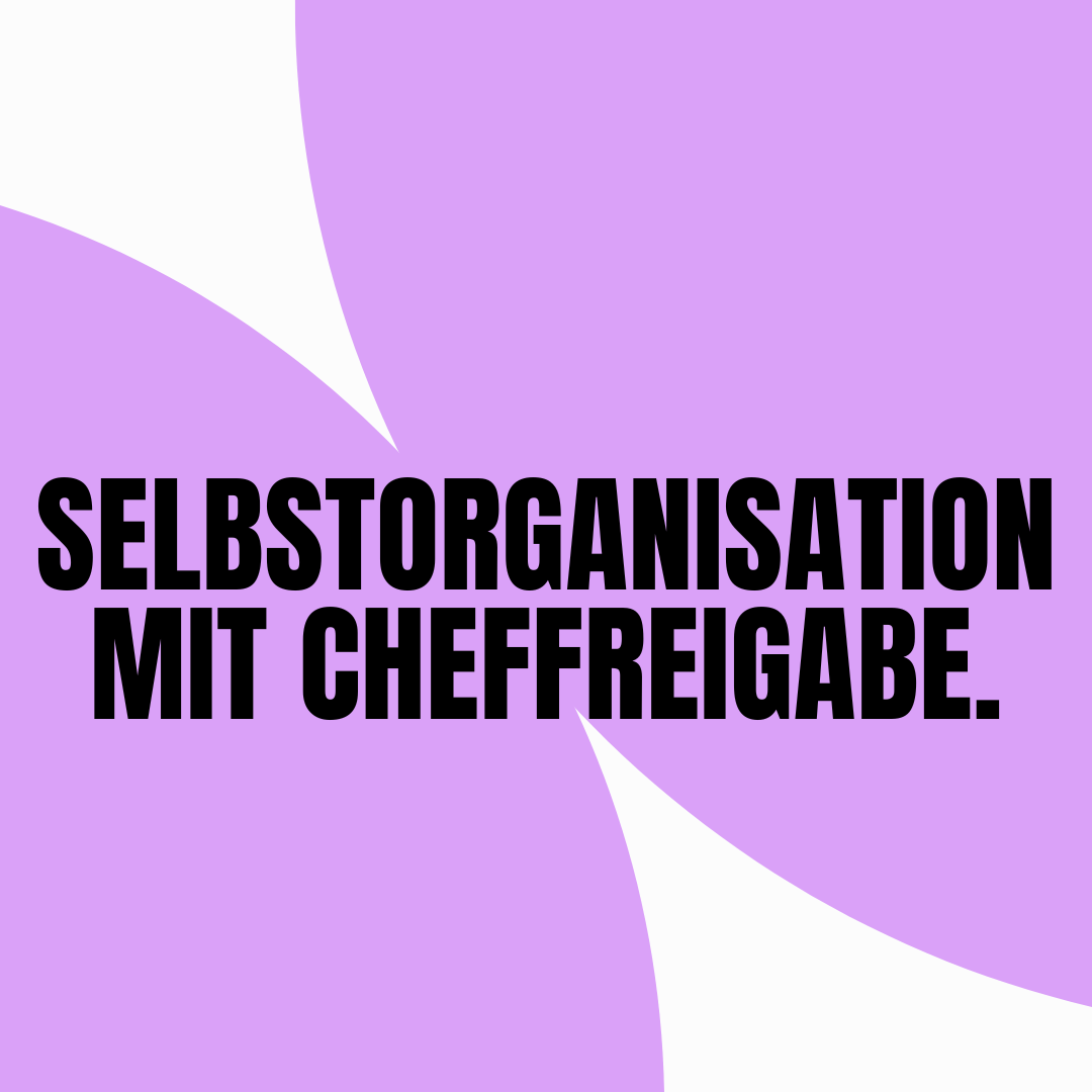 selbstorganisation-mit-cheffreigabe