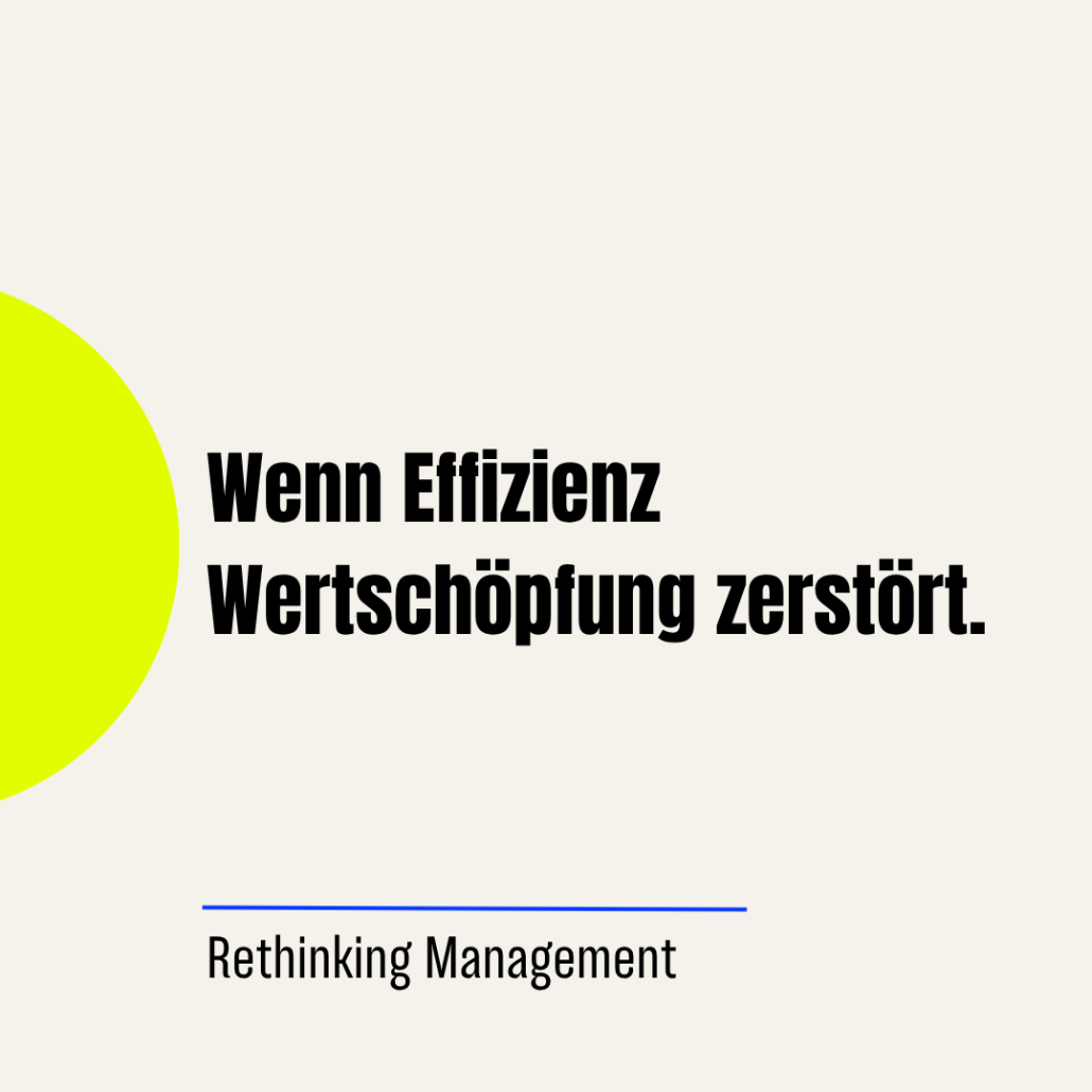 Rethinking-Management-Sichtart-Elisabeth-Sechser (2)