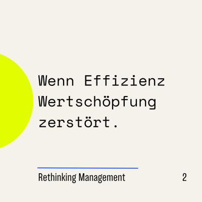 Rethinking-Management-Sichtart-Elisabeth-Sechser